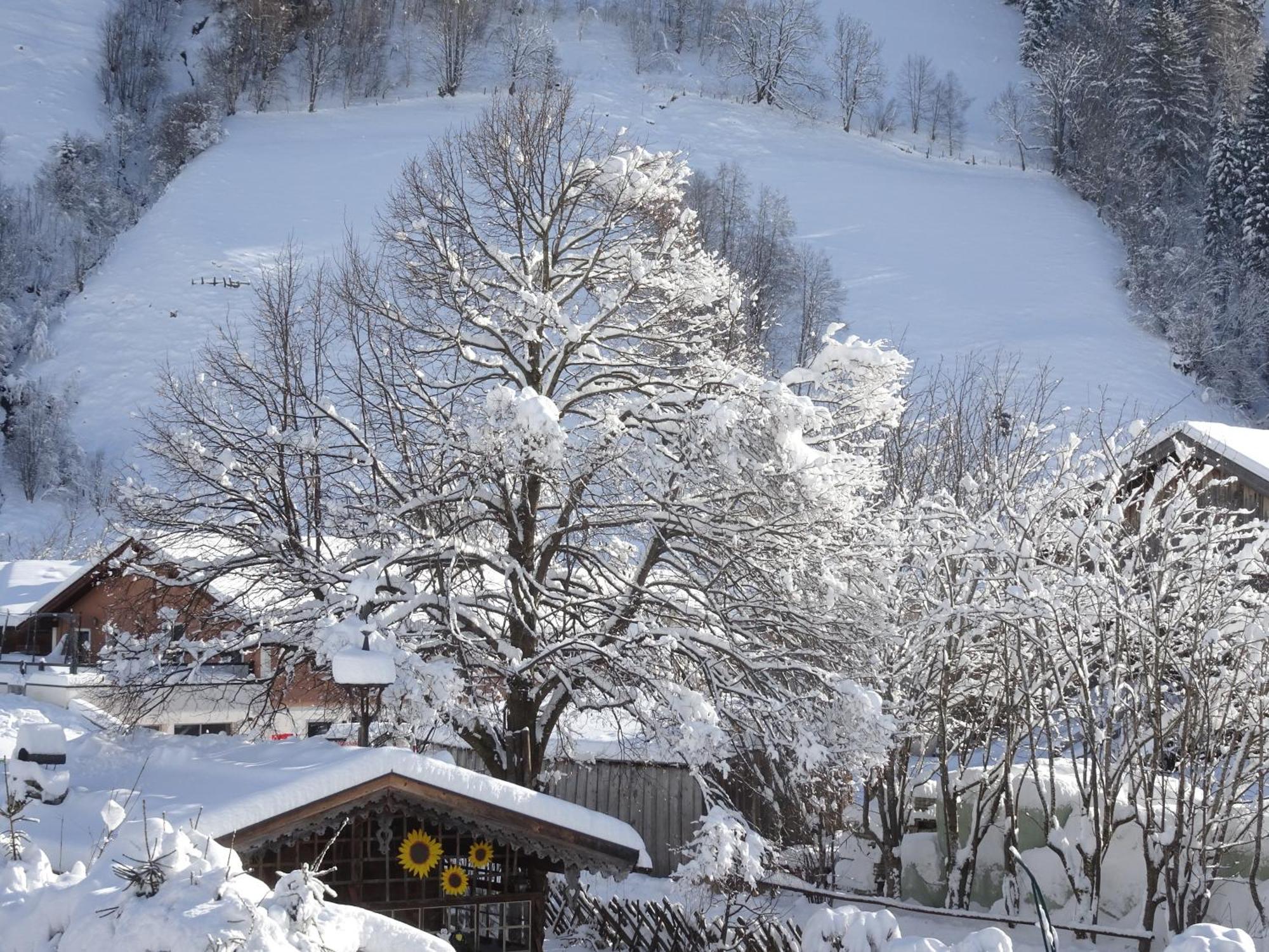 Apartment Gaestehaus Luggau Rauris Esterno foto